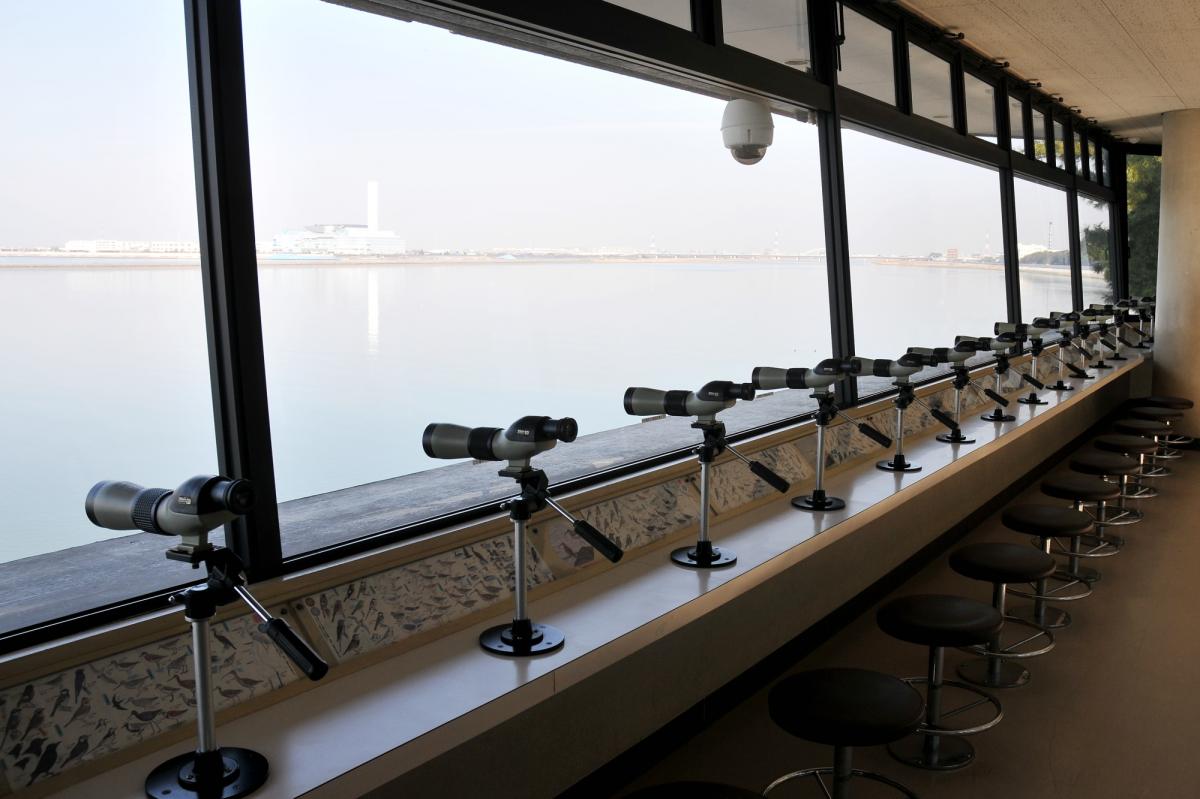 名古屋市野鳥觀察館