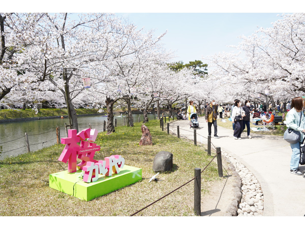 刈谷桜まつり（亀城公園）
