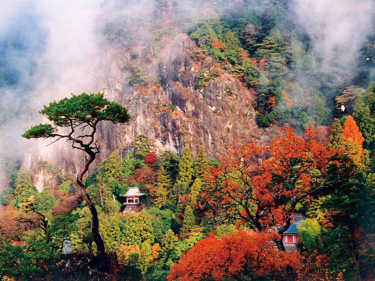 鳳來寺山紅葉節