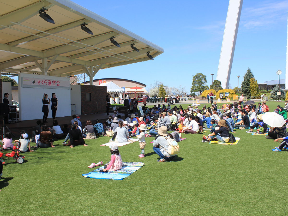 138塔公園　櫻花節