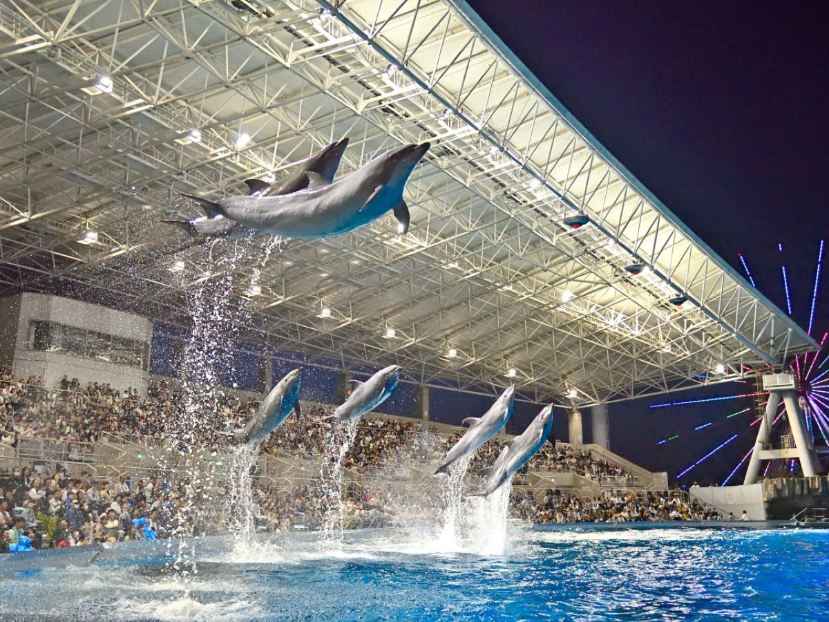 名古屋港水族館
