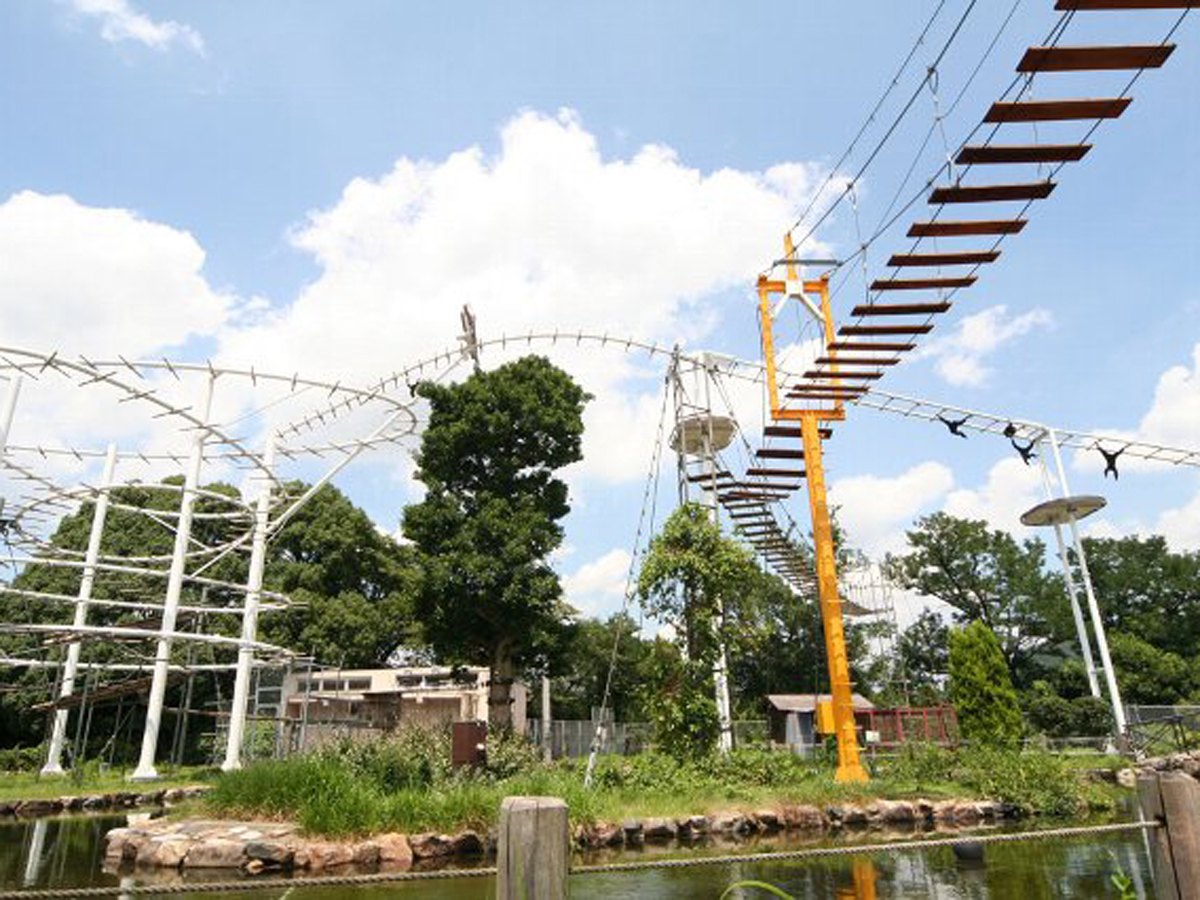 日本モンキーセンター