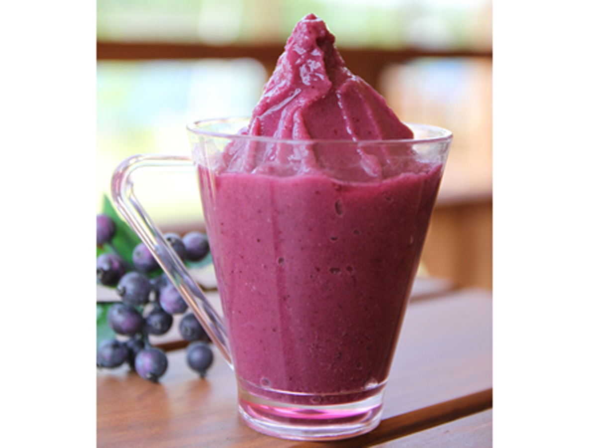 ฟาร์มบลูเบอร์รี่โอคาซากิ