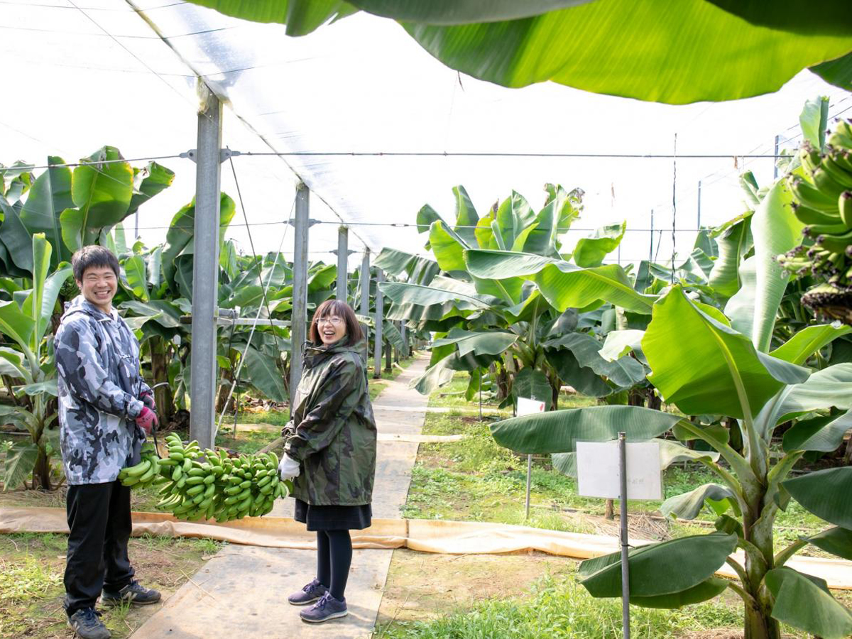 ちたフルーツビレッジ