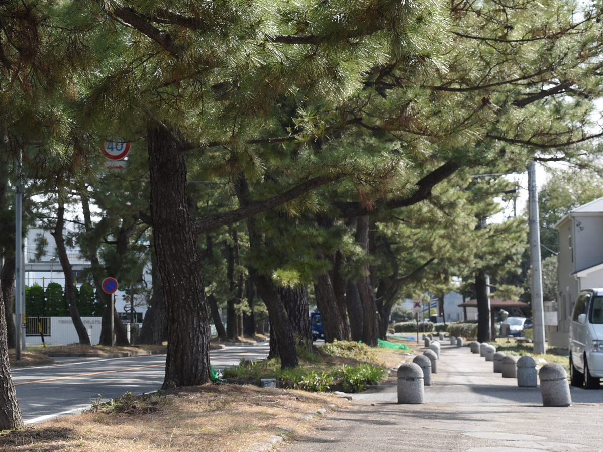 Chiryu-Juku Post Town