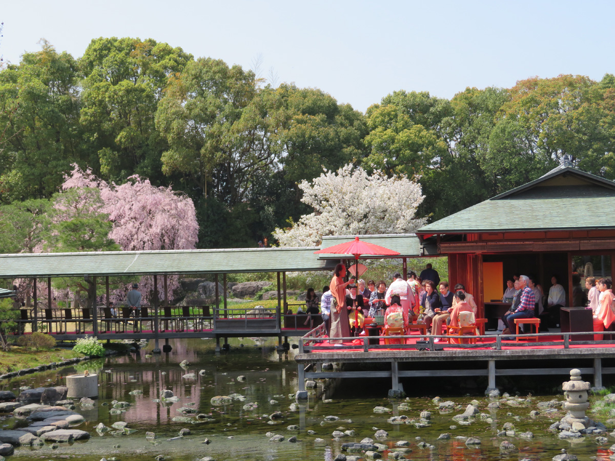 白鳥庭園　観桜会　花見茶会