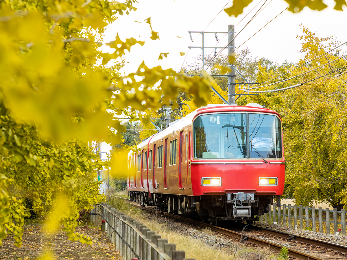 Sobue Ginkgo Leaf Festival