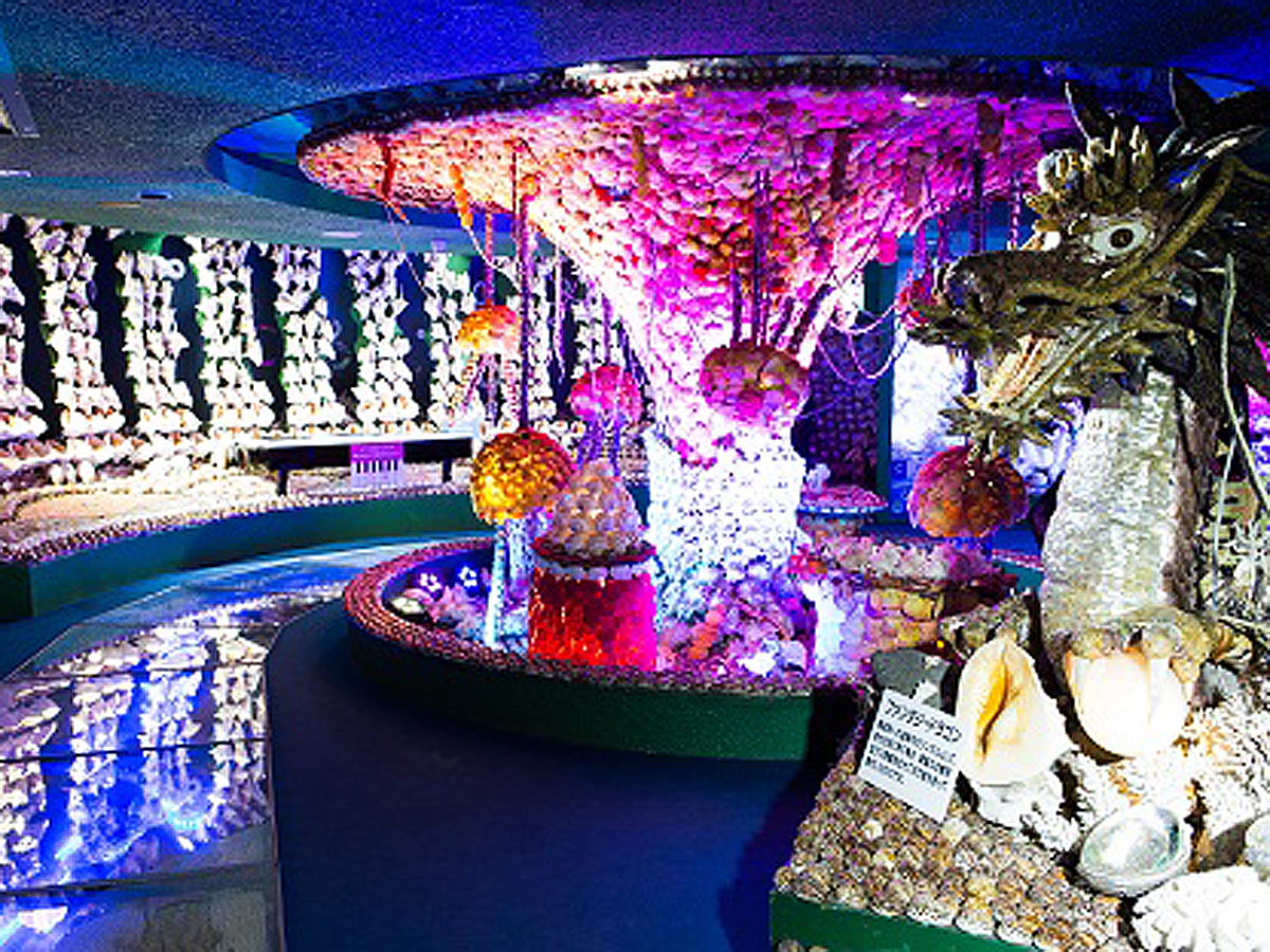 竹島ファンタジー館