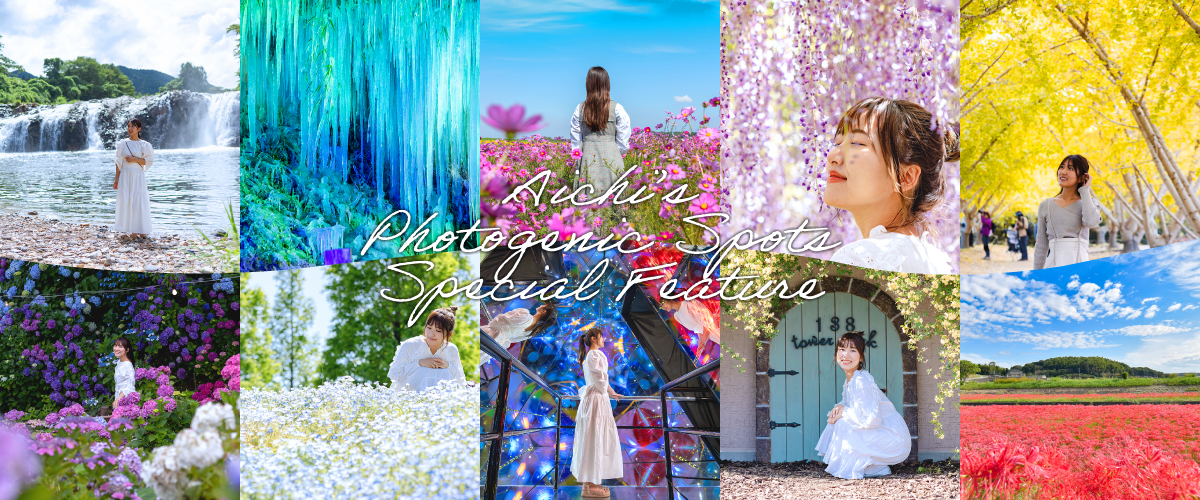 คอลัมน์พิเศษ - รวมจุดถ่ายรูปแห่งไอจิ