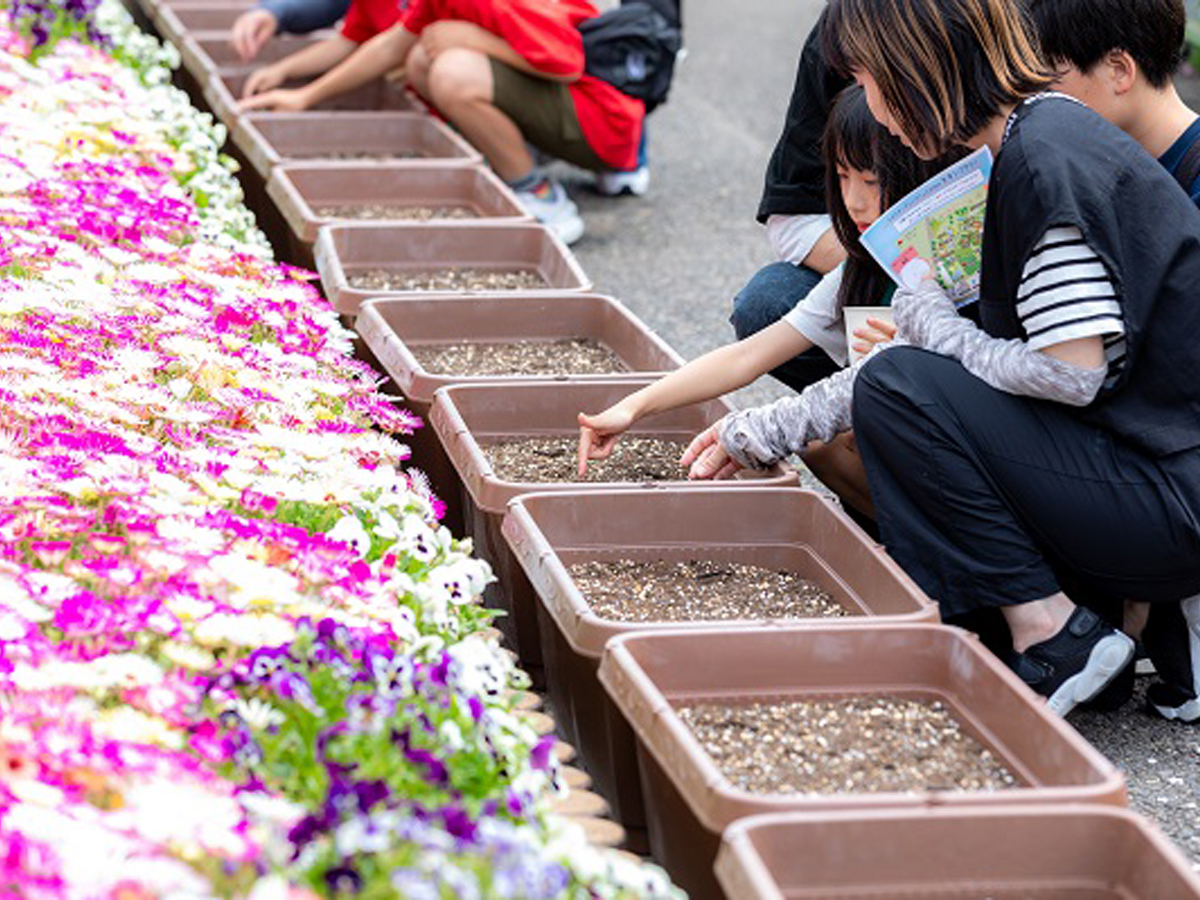 とよたガーデニングフェスタ2018