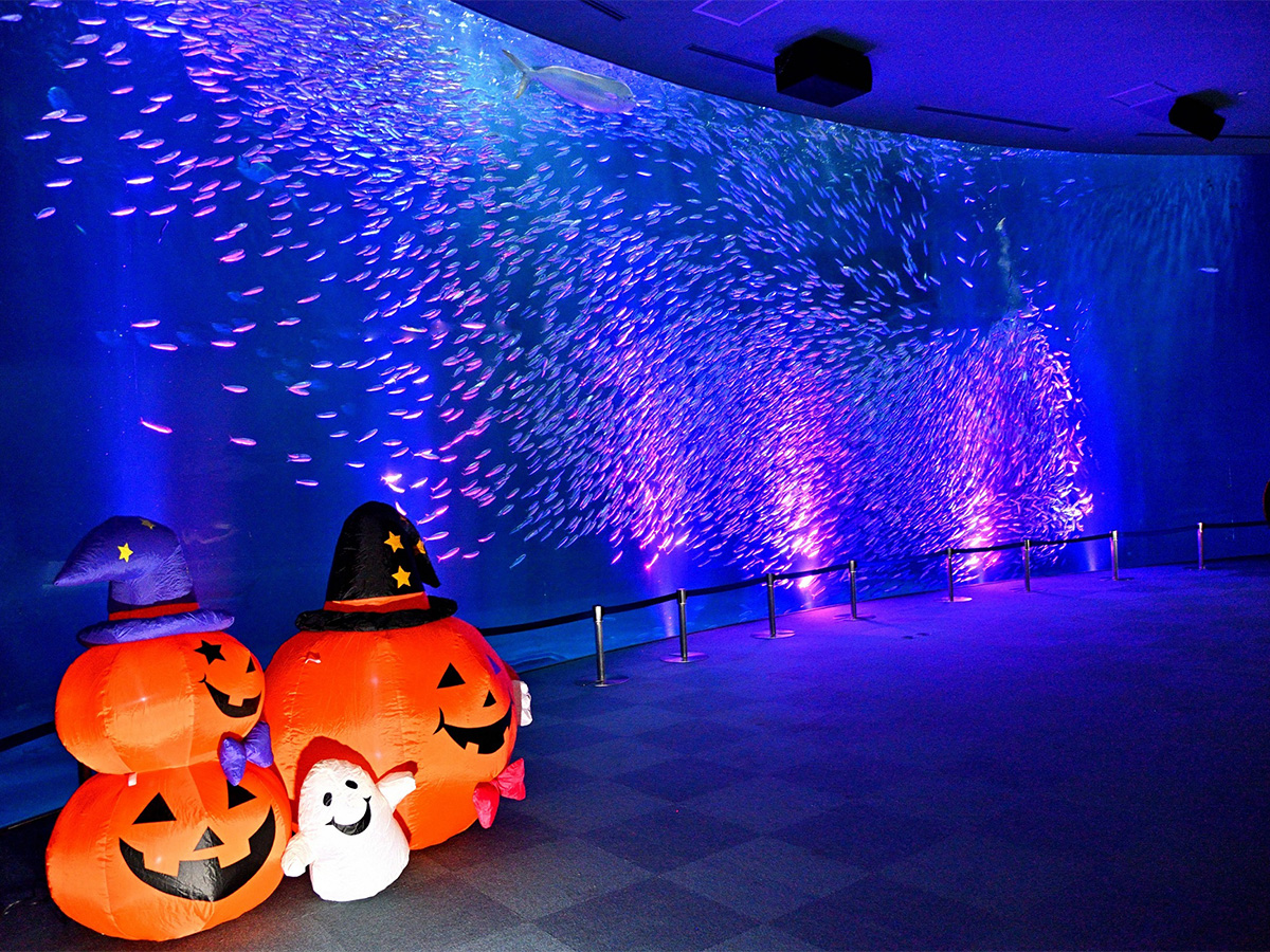 ハロウィンアクアリウム