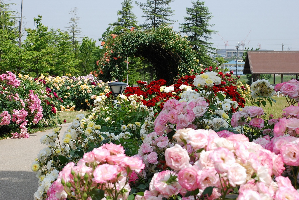 ミササガパーク（猿渡公園）