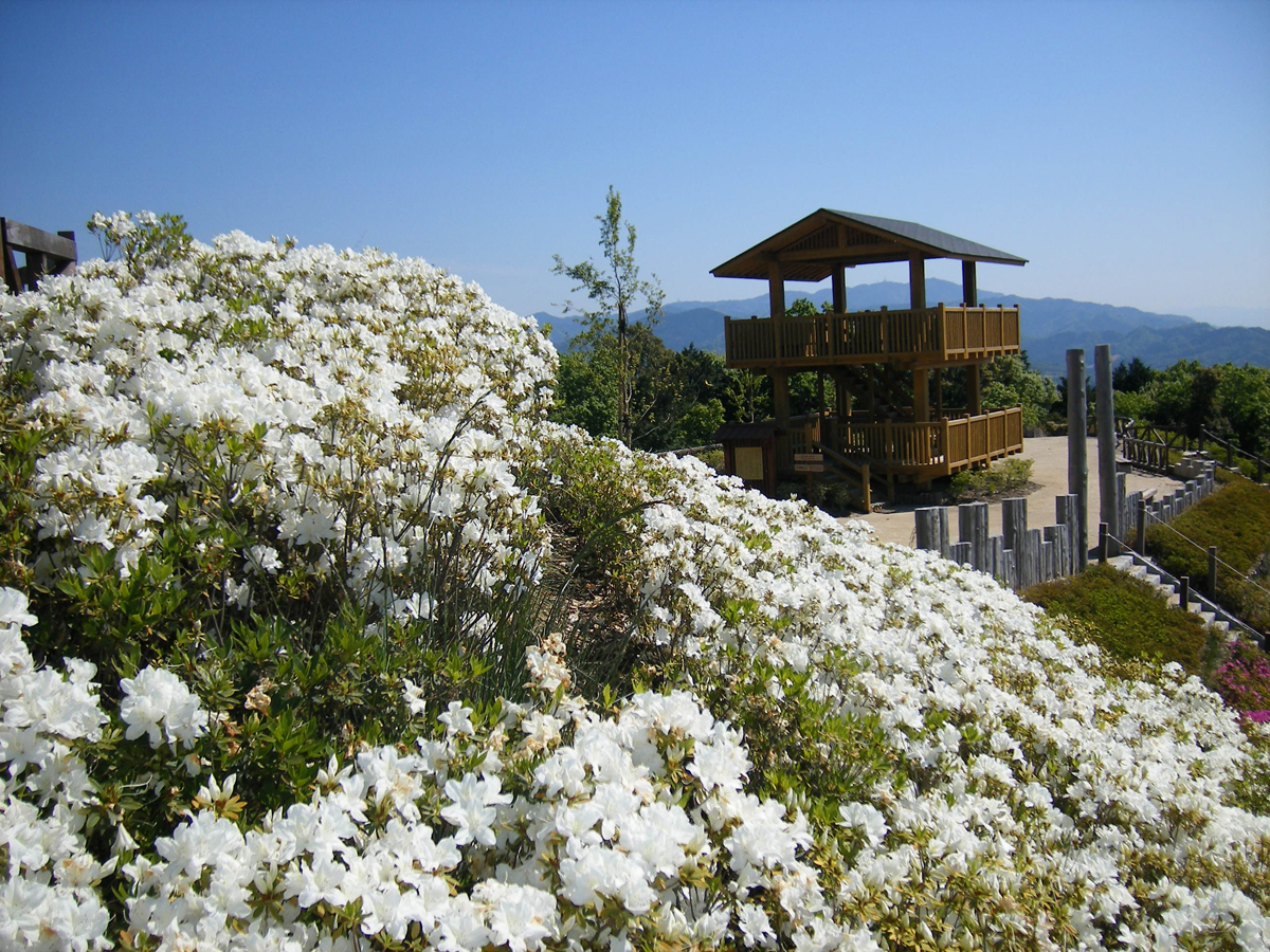 東三河ふるさと公園