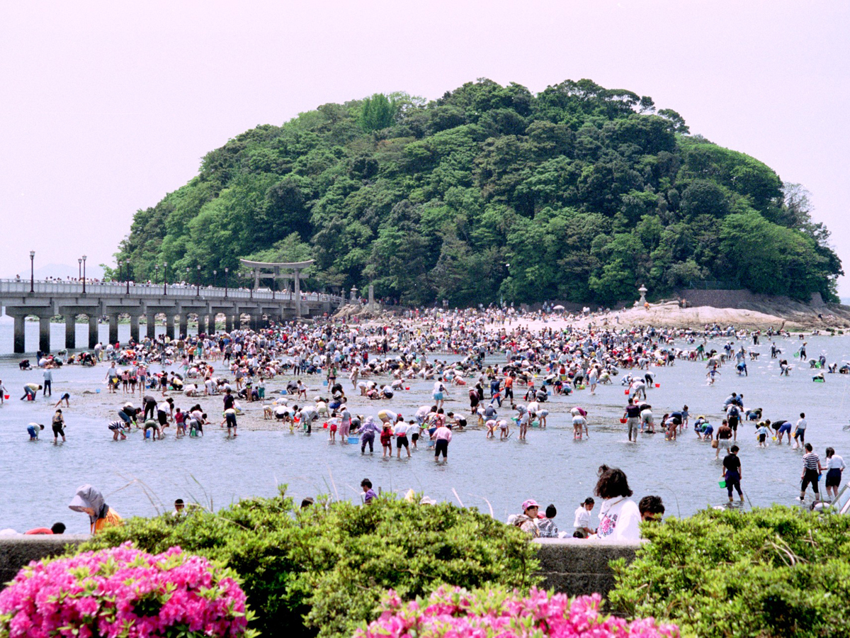 竹島海岸　潮干狩り