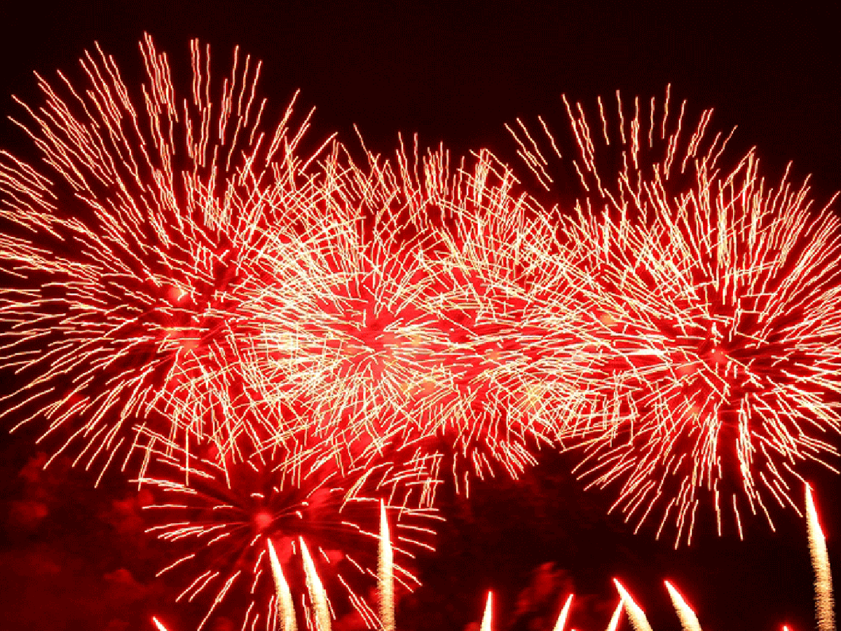 刈谷市旺薩卡節・焰火大會