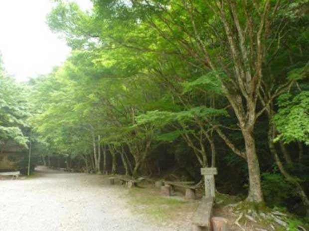 闇苅風致探勝林コース