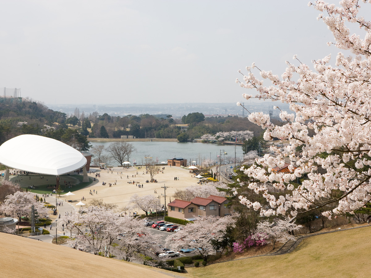 鞍ケ池公園