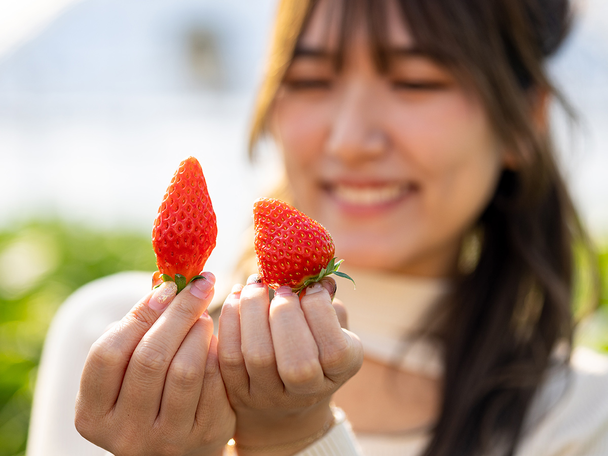 あいのいちご農園