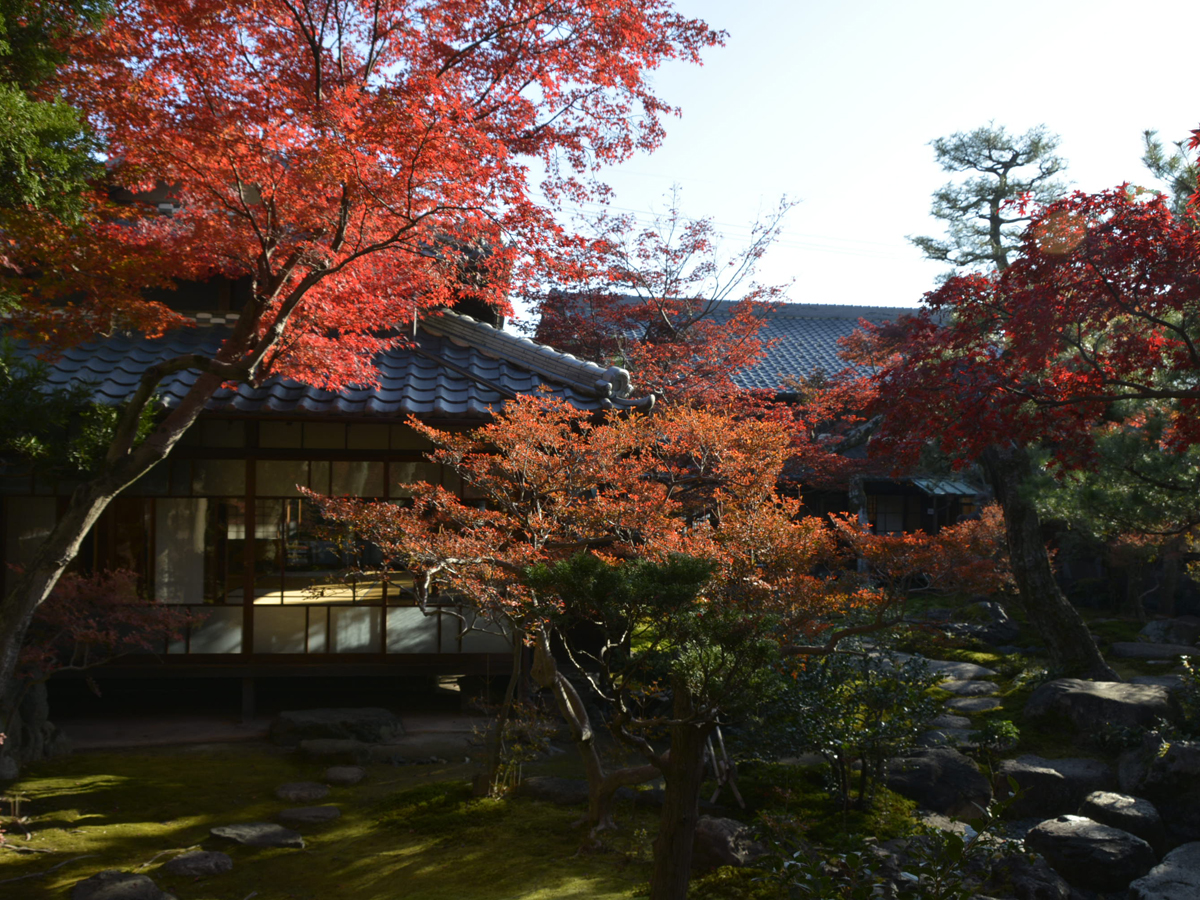 紅葉のおもてなし 旧林家住宅の秋