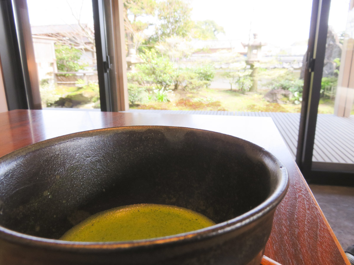 一番茶茶摘み体験と抹茶工場見学