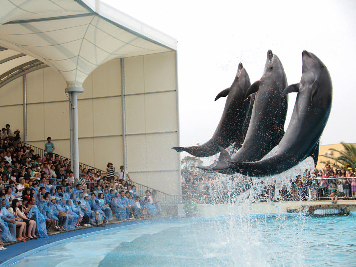 南知多ビーチランド＆南知多おもちゃ王国