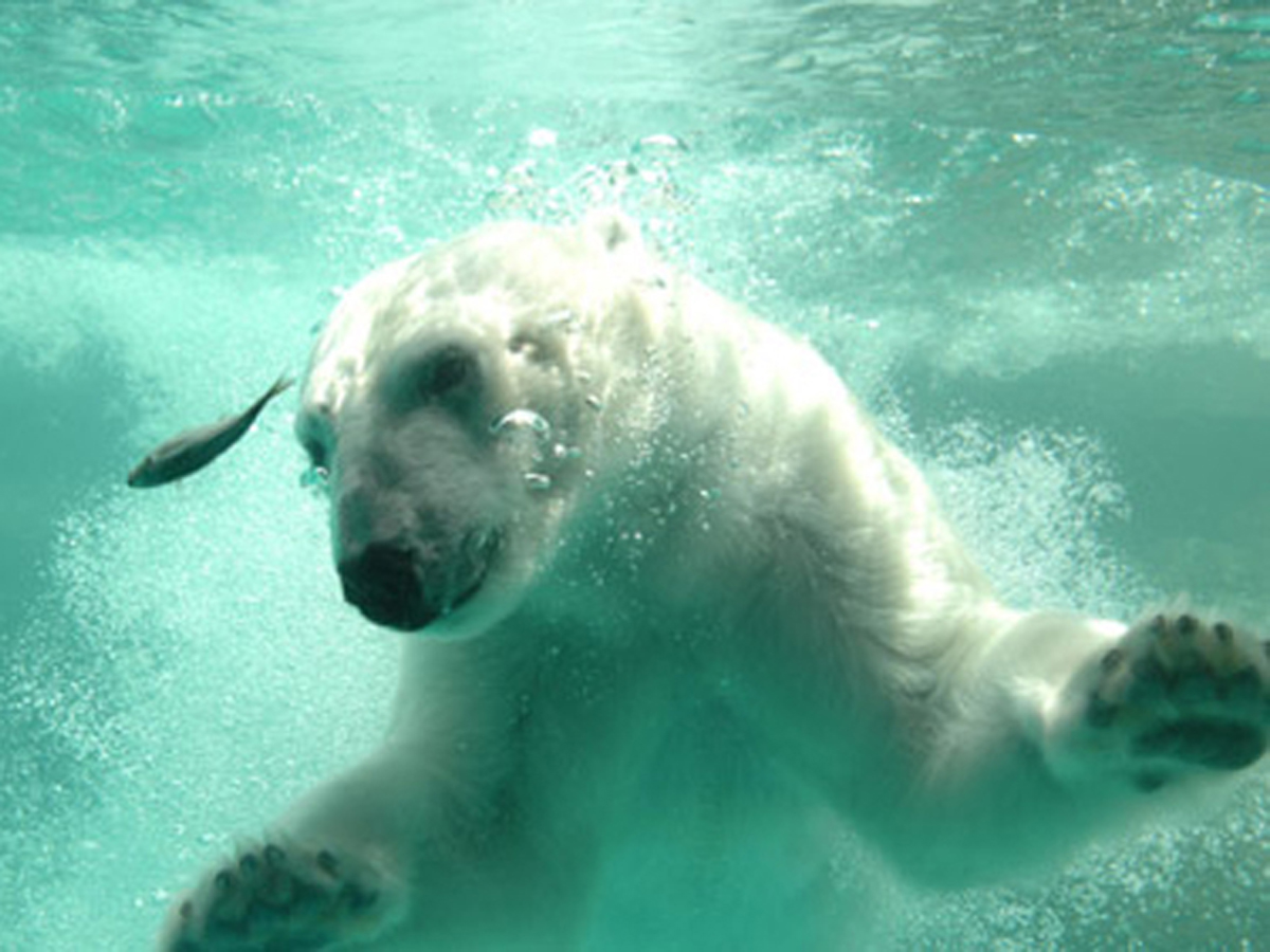 Toyohashi Zoo and Botanical Park