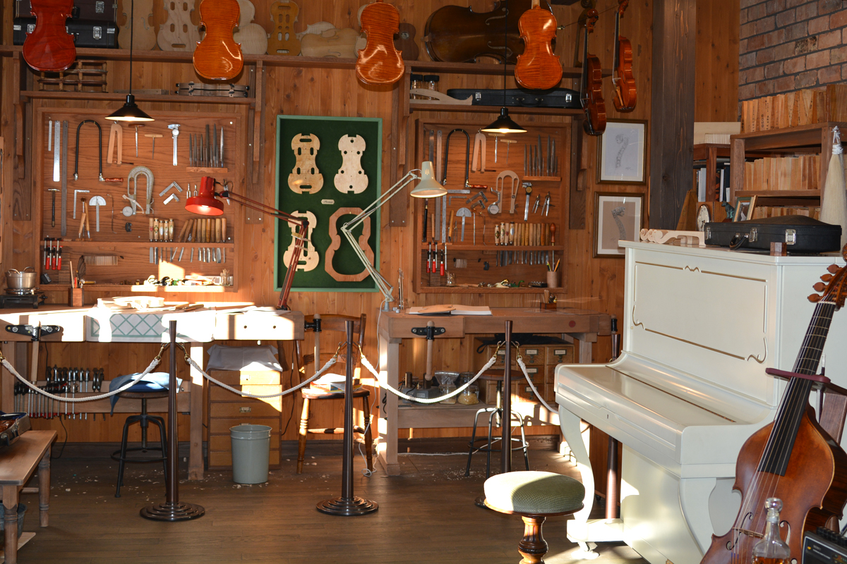 พื้นที่ Hill of Youth