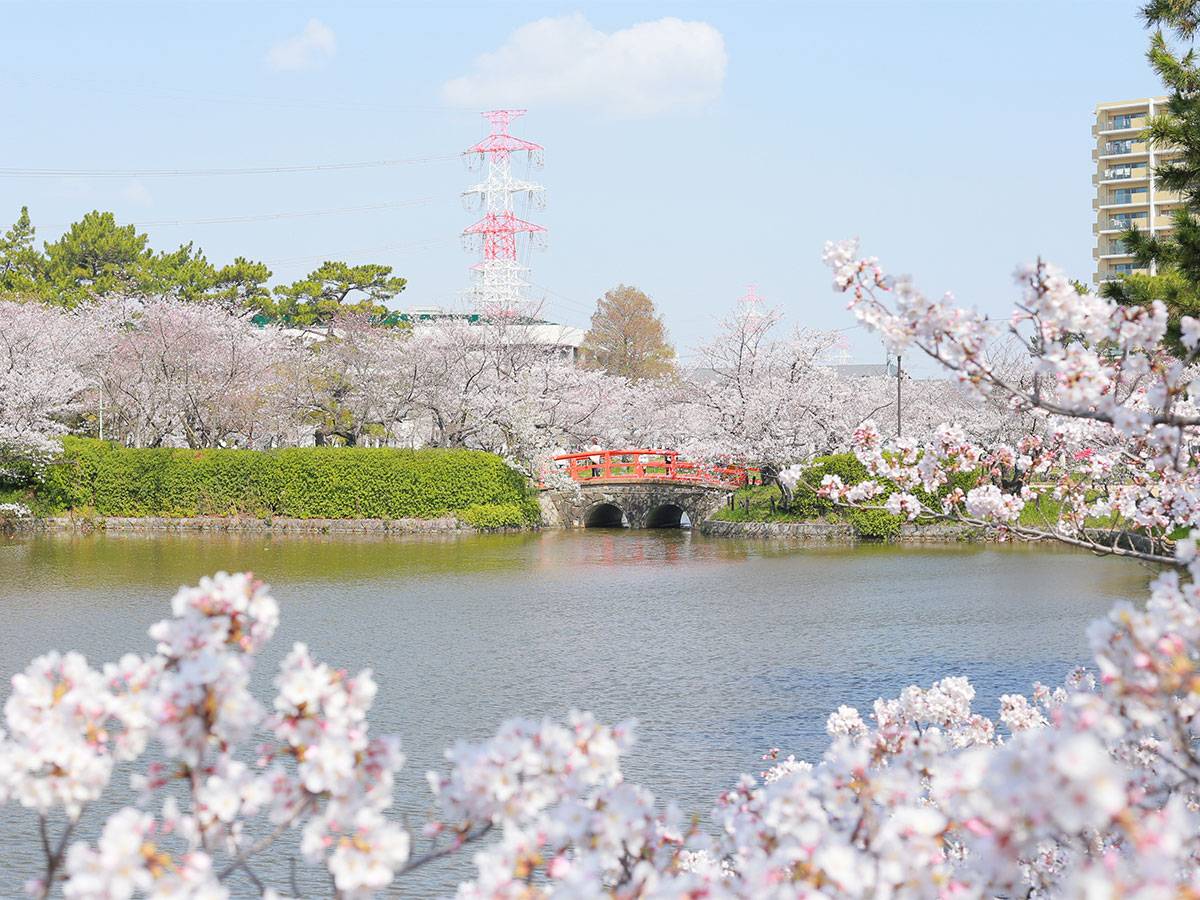 刈谷桜まつり（亀城公園）