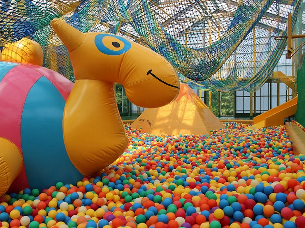 南知多綠谷　水上運動