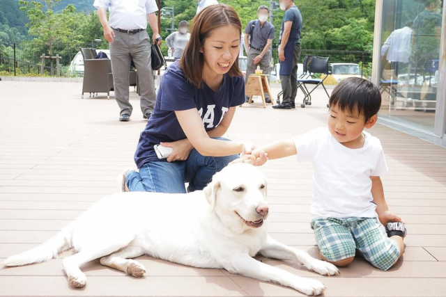 サーブアイランド ドッグ Café＆ドッグラン