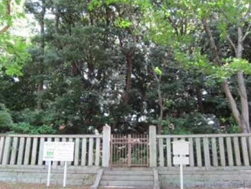 名古屋熱田の歴史探訪コース