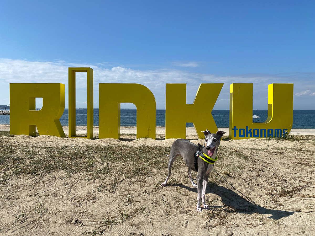 りんくうビーチ