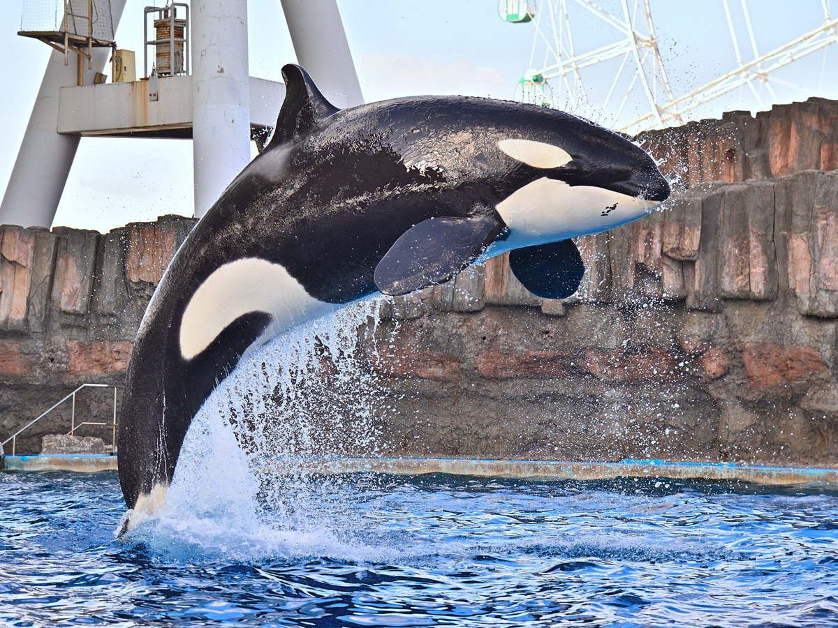 名古屋港水族館