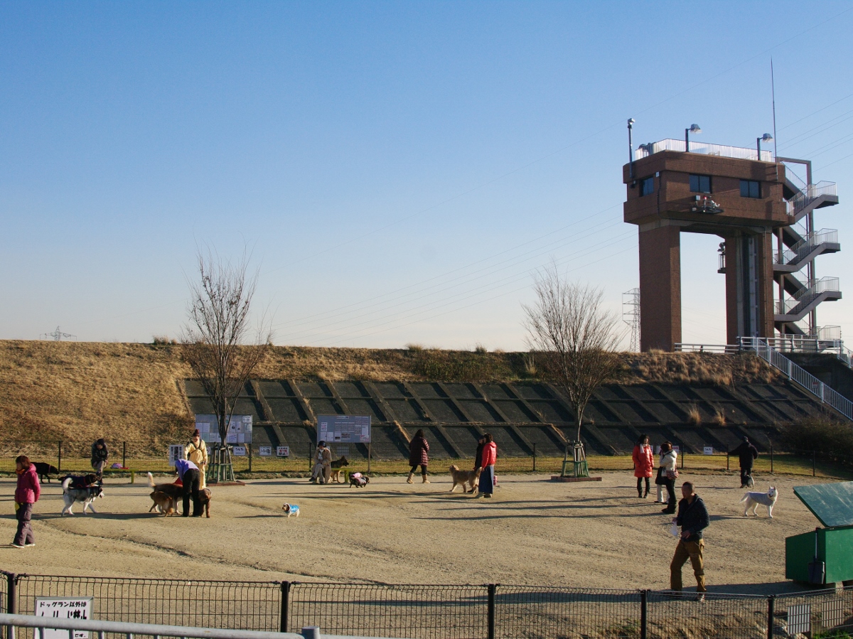 庄内緑地グリーンプラザ
