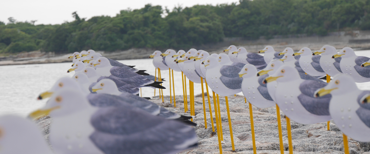 아이치의 보물섬