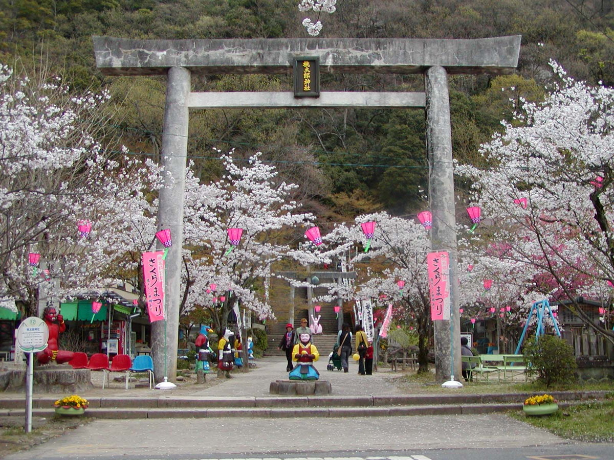 桃太郎櫻花節