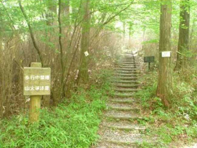 段戸自然観察教育林コース