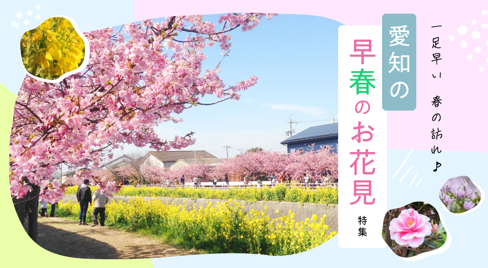 愛知の早春のお花見特集