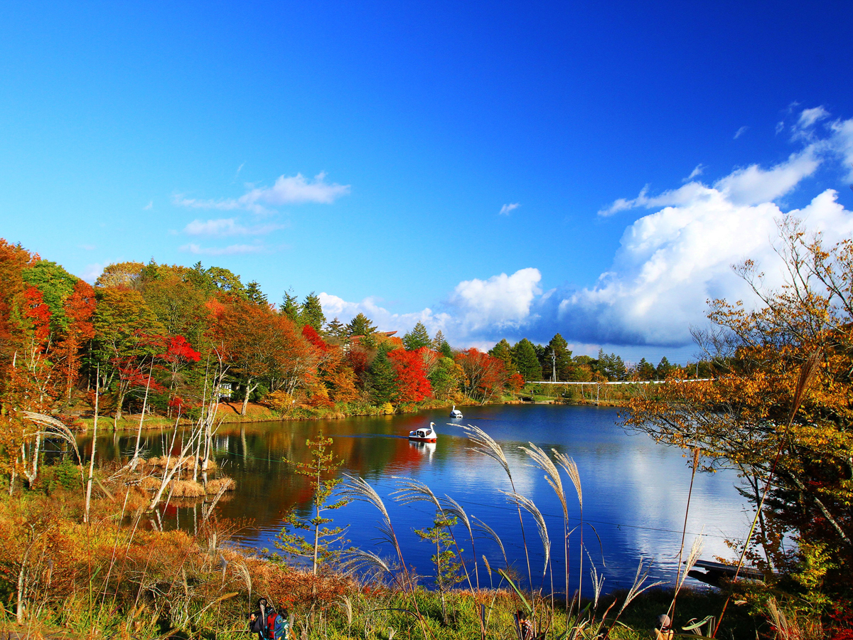 秋季茶臼山高原節