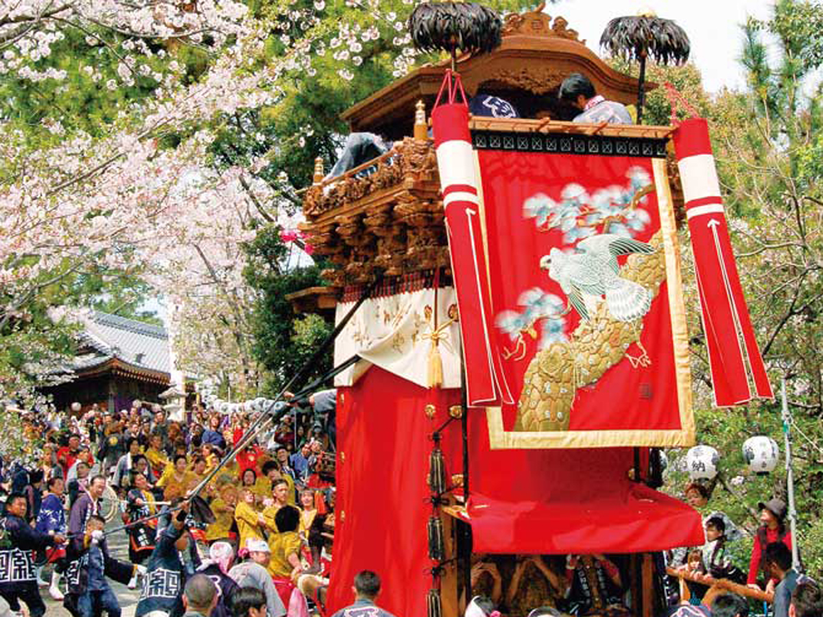 常滑的春季彩車節