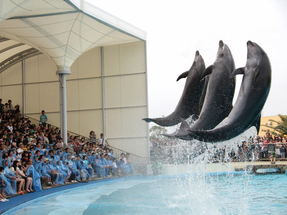 Minamichita Beach Land & Minamichita Toy Kingdom