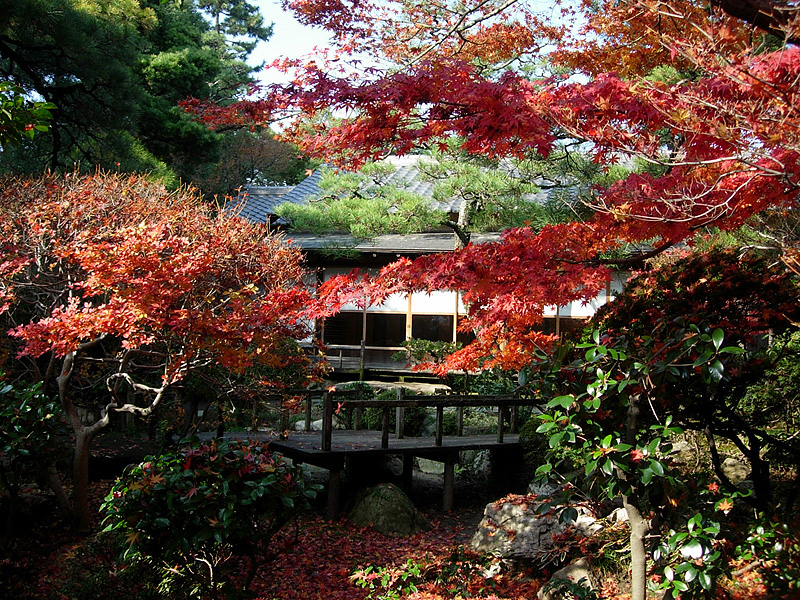 尚古荘（しょうこそう）