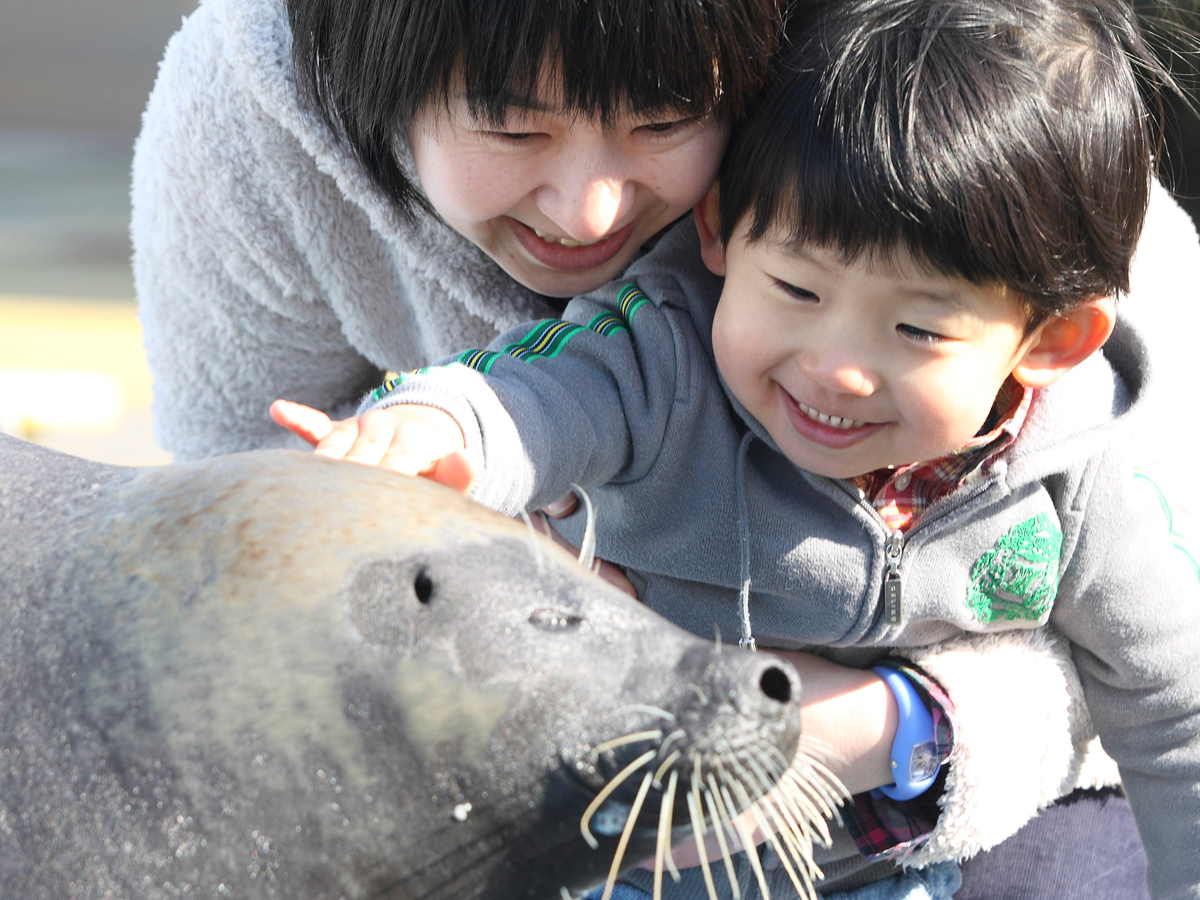 南知多海濱樂園