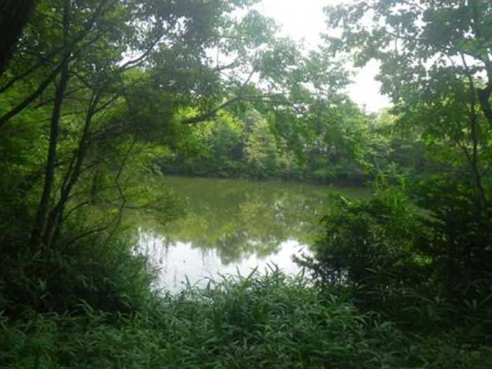 定光寺自然休養林コース