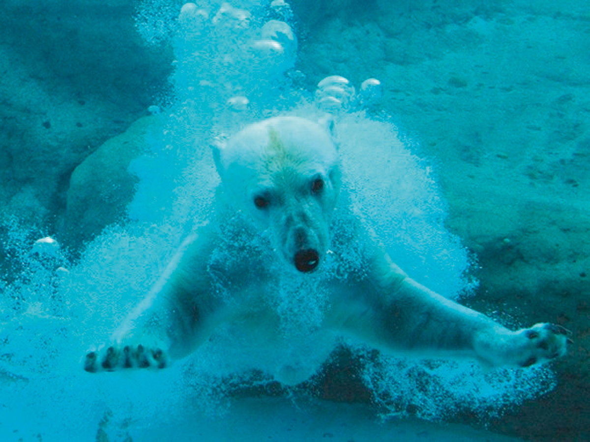 豐橋綜合動植物園【Non Hoi公園】
