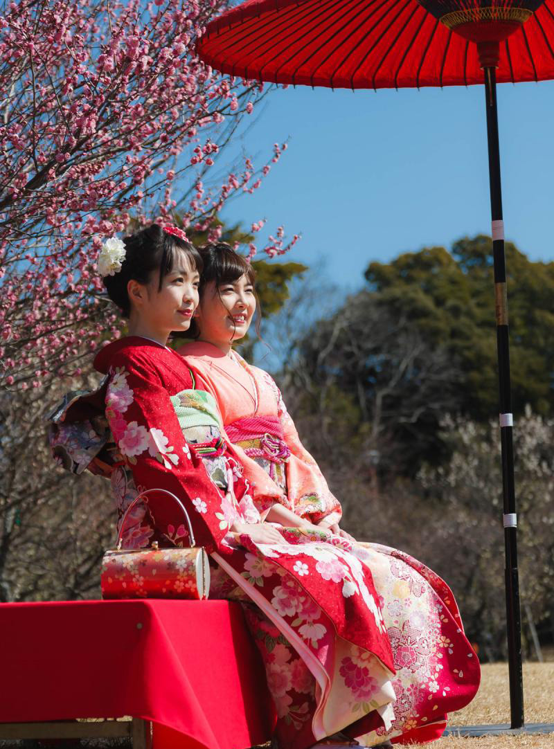春日祭・梅花節　向山綠地內梅林園