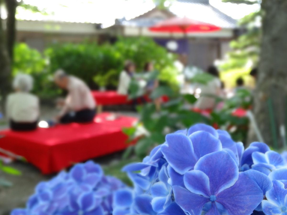 尾西あじさいまつり