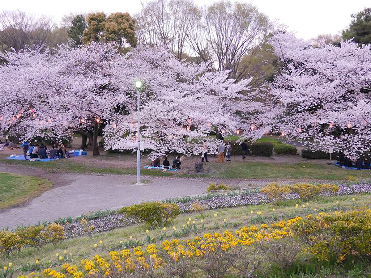名城公園