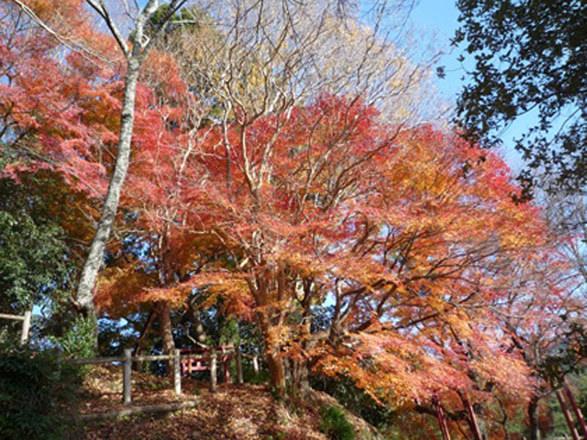 Battle of Nagashino Shitaragahara