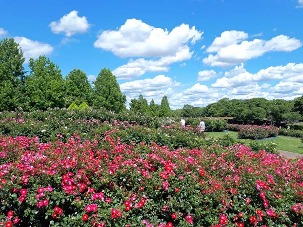 138タワーパーク